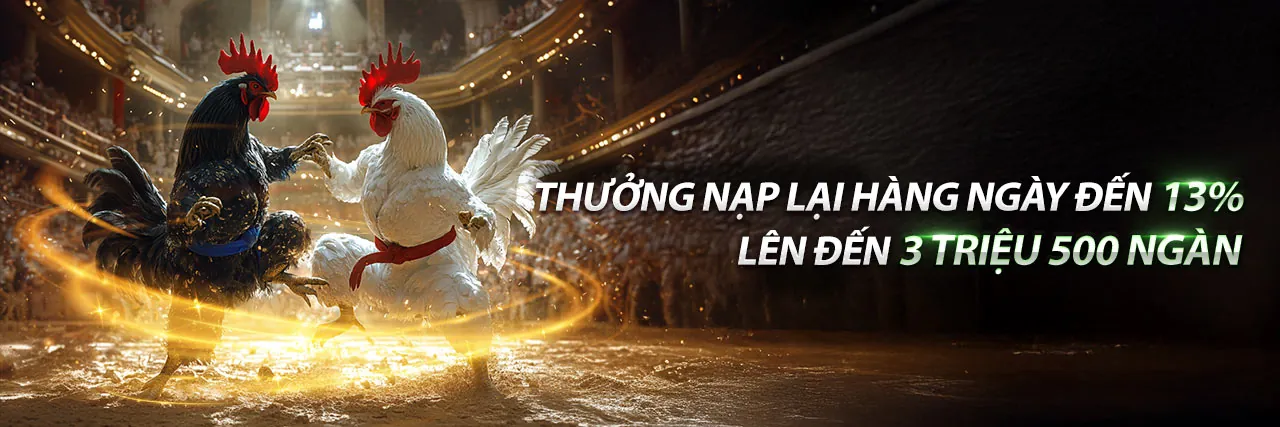 Game Bài và Đá Gà Trực Tiếp Bình Luận Viên
