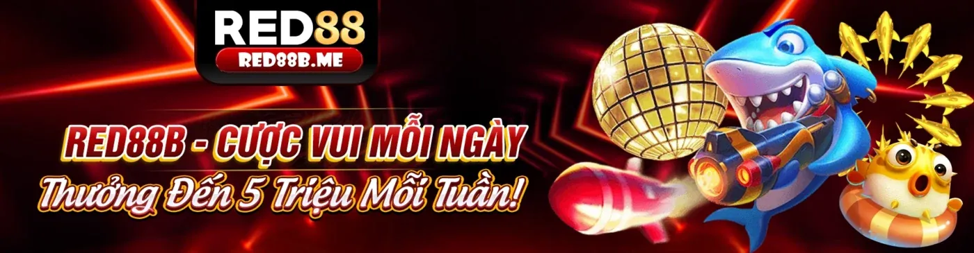Người chơi đang nghiên cứu chiến kê và kèo cược