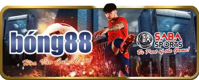 Các loại kèo cược đá gà